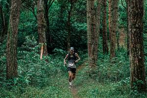 BIB: 
                            <button type="button" onclick="openModal(25235628)" class="btn btn-primary btn-sm float-right btn-popup" data-toggle="modal" data-target=".modal-high-quality">
                        <i class="fas fa-shopping-cart"></i> Add to Cart
                    </button>
                                            <button type="button" onclick="isThisMe(25235628, true)" class="btn btn-success btn-sm float-right btn-popup btn-isme hidden" data-toggle="tooltip" data-placement="bottom" title="นี่คือรูปของคุณใช่ไหม คลิกที่นี่เพื่อเอาเข้าอัลบั้ม">
                        <i class="fas fa-plus"></i> Add to album
                    </button>
                    <button type="button" onclick="isThisMe(25235628, false)" class="btn btn-warning btn-sm float-right btn-popup btn-isnotme hidden">
                        <i class="fas fa-ban"></i> Remove from album
                    </button>